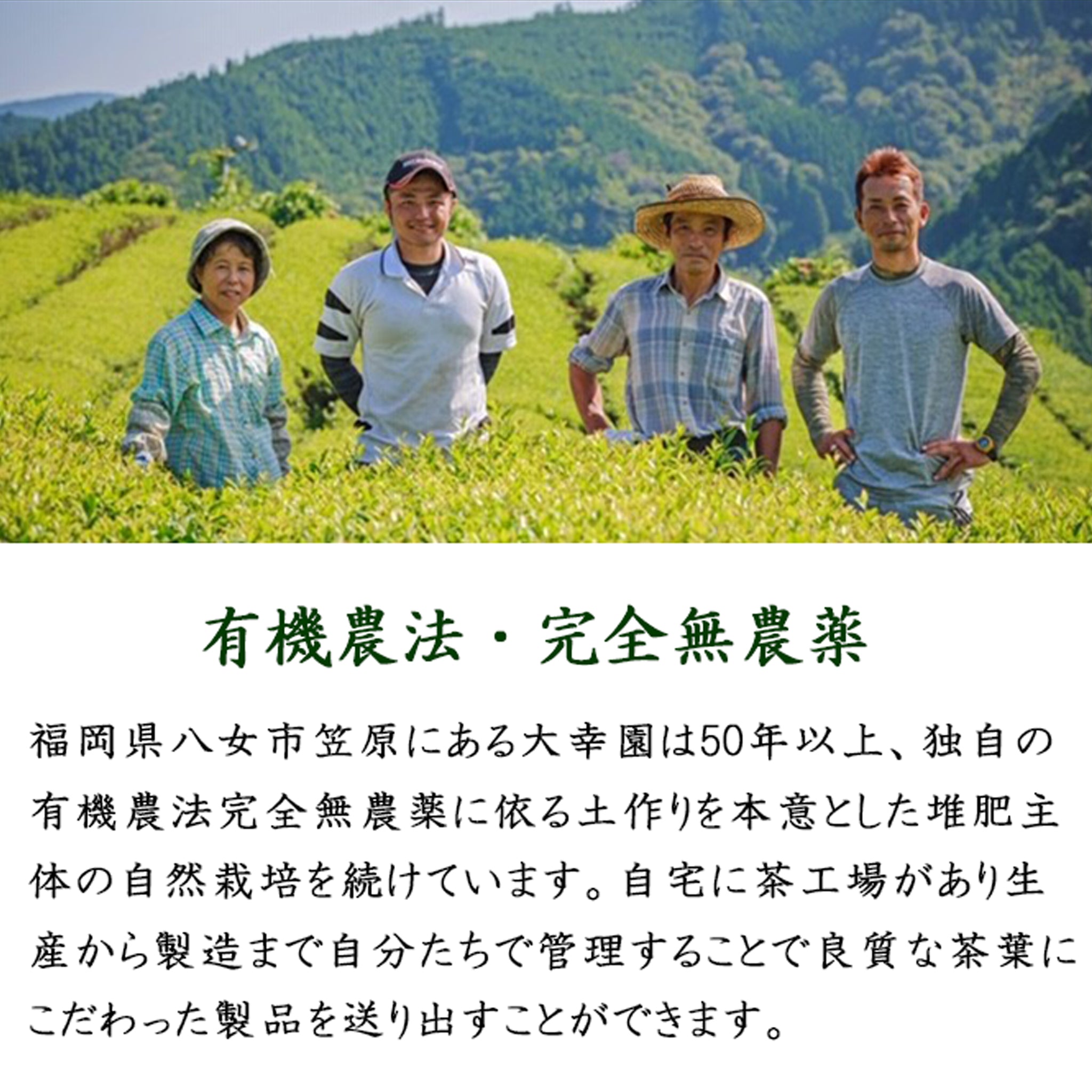 特上煎茶】八女茶 完全無農薬 ８０g ×４本 | お茶の大幸園 | 嶋ノ屋